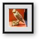 Buy Framed Print
