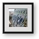 Buy Framed Print
