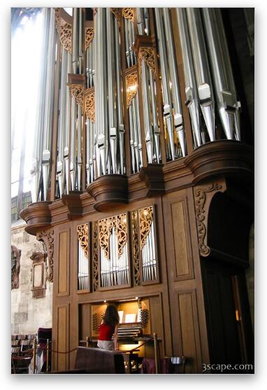Stephansdom's organ Fine Art Metal Print