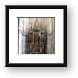 Inside Stephansdom Framed Print