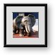 Buy Framed Print