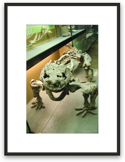 Dinosaur bones (Naturhistorisches Museum) Framed Fine Art Print
