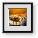 Buy Framed Print