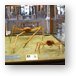 Huge crabs (Naturhistorisches Museum) Metal Print