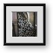 Buy Framed Print