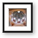 Dome of the Salzburg Cathedral Framed Print
