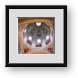 Buy Framed Print