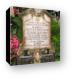 Tomb stone at St. Peter's Cemetery Canvas Print