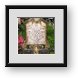 Buy Framed Print