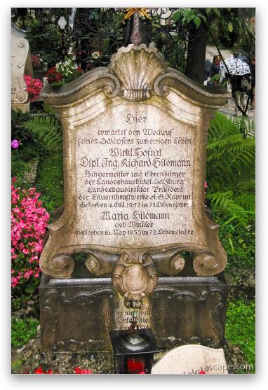 Tomb stone at St. Peter's Cemetery Fine Art Metal Print