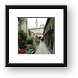 St. Peter's Cemetery and Catacombs Framed Print