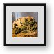 Buy Framed Print