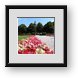 Buy Framed Print