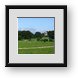 Buy Framed Print