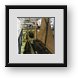 Buy Framed Print