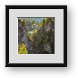 Buy Framed Print