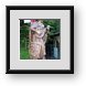 Buy Framed Print