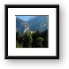 Hohenschwangau and Bavarian Alps Framed Print