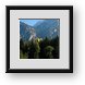 Buy Framed Print