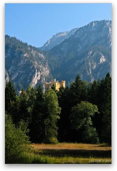Hohenschwangau and Bavarian Alps Fine Art Metal Print