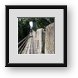 Buy Framed Print