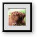 Buy Framed Print
