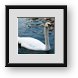 Buy Framed Print