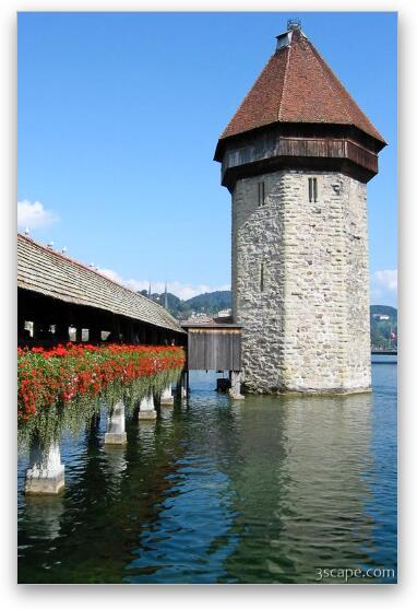 Water Tower and Chapel Bridge on Reuss River Fine Art Metal Print