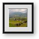 Buy Framed Print