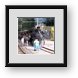 Buy Framed Print