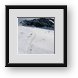 Buy Framed Print