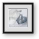 Buy Framed Print