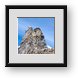 Buy Framed Print