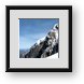 Buy Framed Print