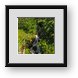 Buy Framed Print