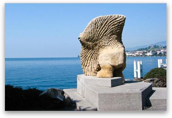 Sculpture on Lake Geneva (Montreux) Fine Art Metal Print