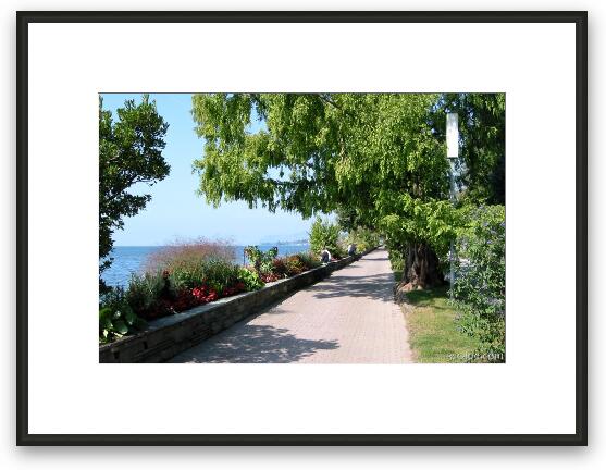Walking path on Lake Geneva (Montreux) Framed Fine Art Print