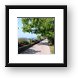 Walking path on Lake Geneva (Montreux) Framed Print