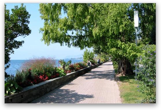 Walking path on Lake Geneva (Montreux) Fine Art Print