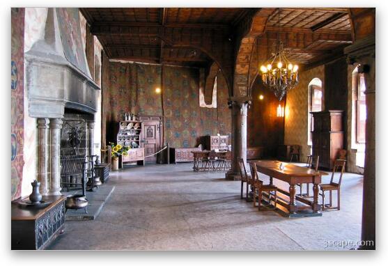 Inside Chateau de Chillon Fine Art Print
