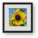 Buy Framed Print