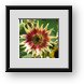 Buy Framed Print