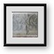 Buy Framed Print