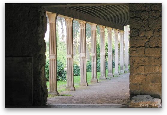 Columns Fine Art Metal Print