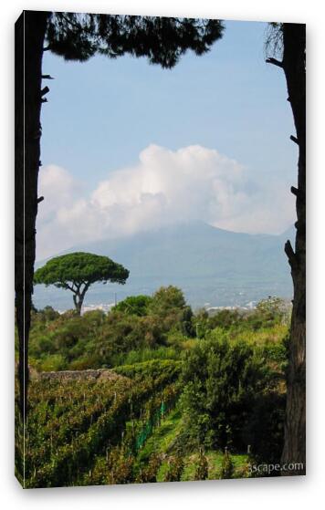 Mount Vesuvius Fine Art Canvas Print