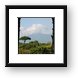 Mount Vesuvius Framed Print