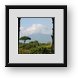Buy Framed Print