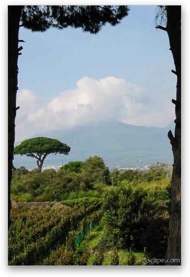 Mount Vesuvius Fine Art Metal Print
