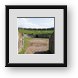 Buy Framed Print