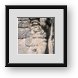 Buy Framed Print